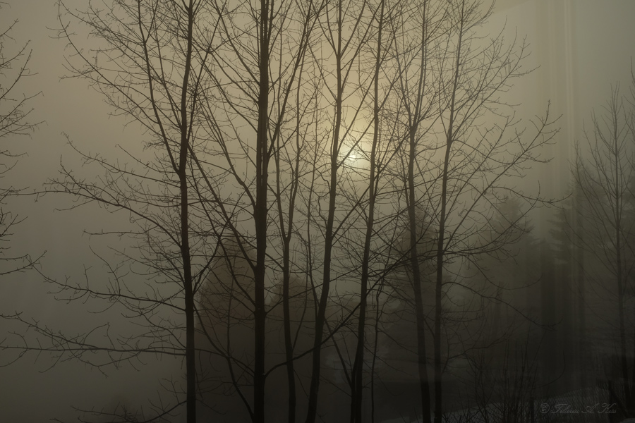 34 :: Dawn